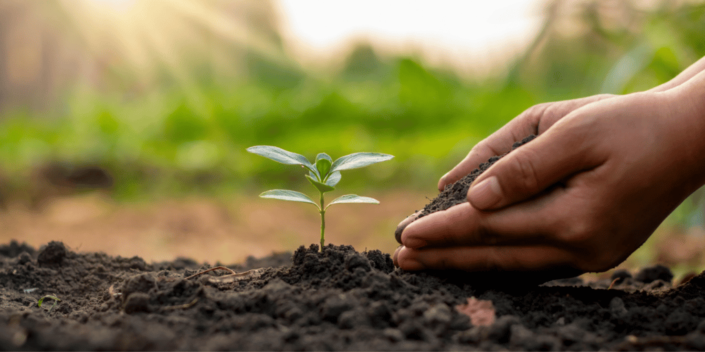Jangan Dibuang!  Ini 7 Manfaat Ampas Teh Untuk Tanaman Dan Keperluan Berkebun