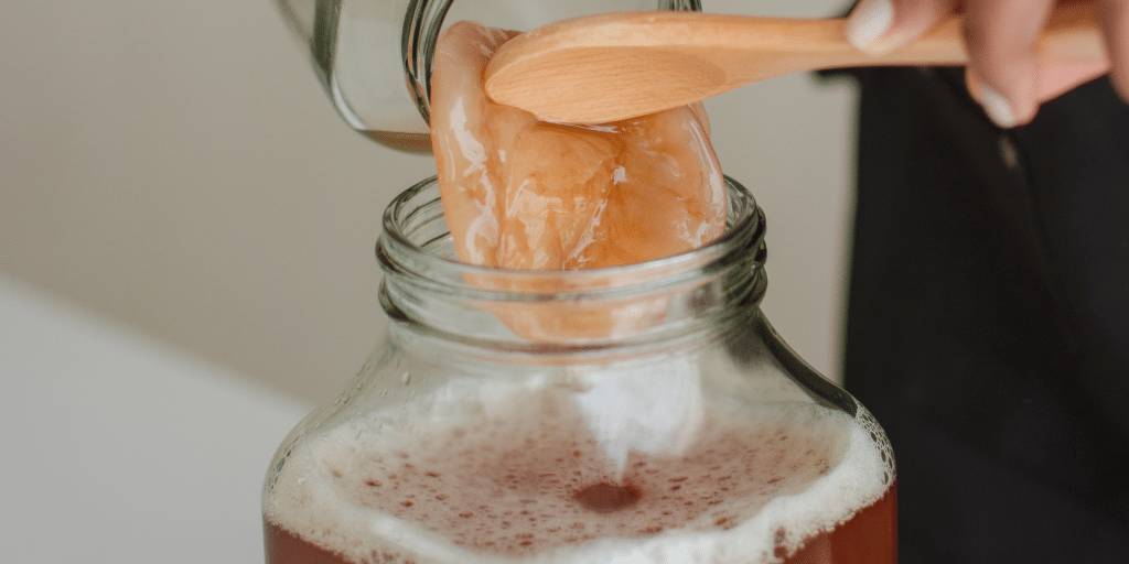 Cara Membuat Teh Kombucha - Teh Villa Indonesia